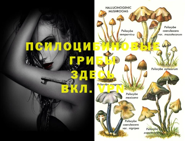 мяу мяу кристалл Балахна