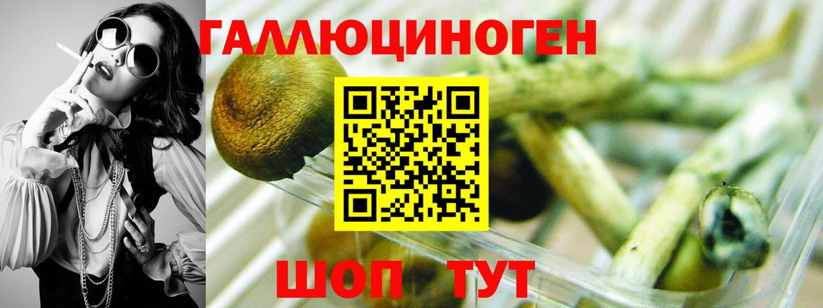 Псилоцибиновые грибы GOLDEN TEACHER  Галлюциногенные грибы MAGIC MUSHROOMS  Тихвин  Вход с VPN 